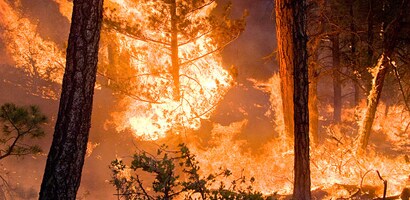PPE Guidance for Wildfires

