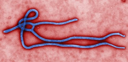 PPE Guidance for Ebola Virus Disease (EVD)
