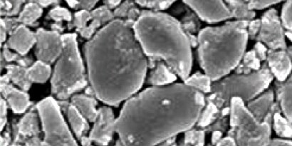 microhybrid microscope image
