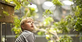 Image of young boy looking up to the sky in wonder
