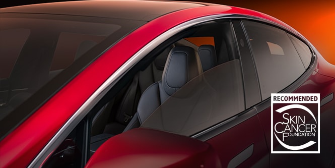 best clear tint for cars
