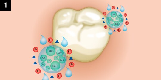tri-calcium phosphate process for clinpro white varnish first step
