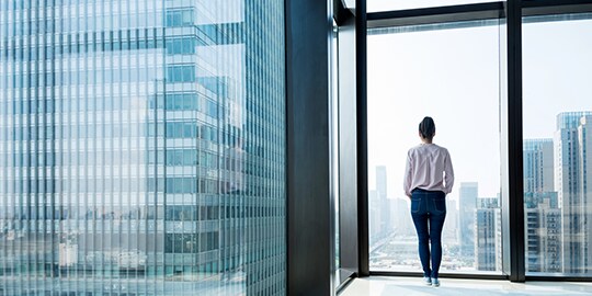 3m building window solutions resources specialties
