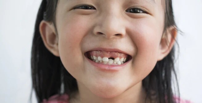 Dental Products
