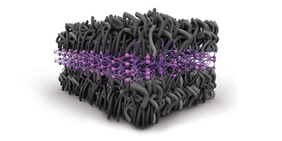 How does adhesion work? [Article]
