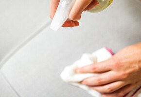 Natural Upholstery Cleaner 